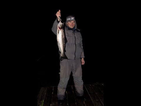 Видео: Кумжа 3 кг. 250 гр.