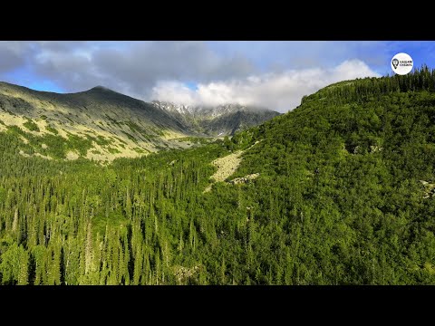 Видео: Долина ручья Поднебесный 4К