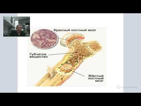 Видео: Марк Пака. Как работает костный мозг?