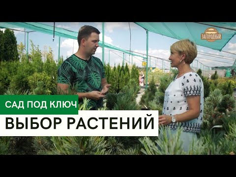 Видео: Выбор растений \ Чем отличается садовый центр от питомника? \ Сад под ключ
