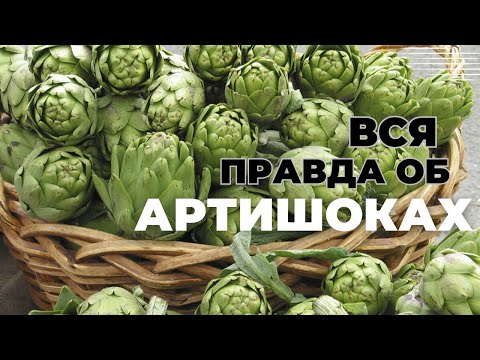 Видео: АРТИШОКИ | ЧТО ЭТО ТАКОЕ И С ЧЕМ ИХ ЕДЯТ? #артишок #artichoke #enginar #готовимвтурции