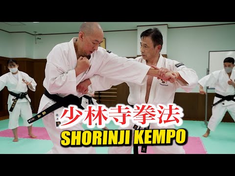 Видео: Удар против "Сёриндзи Кемпо" - и вы в опасности!
