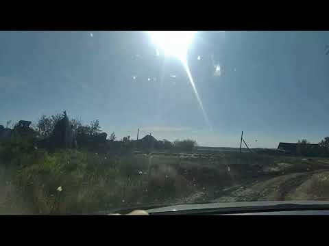 Видео: Мое путешествие за грибами. Находки, село Боярка.