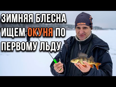 Видео: Зимняя блесна, ищем окуня по первому льду