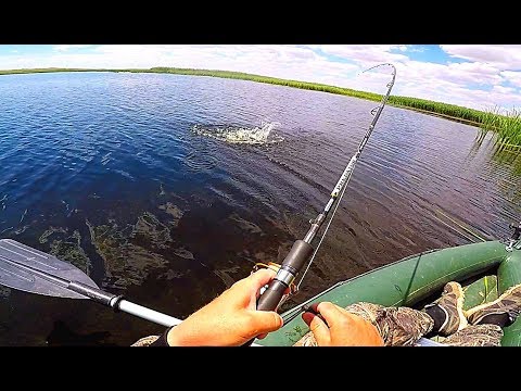 Видео: Рыбалка на щуку и окуня в камышах. Разведка по щучьим местам.  Вело-водный поход.