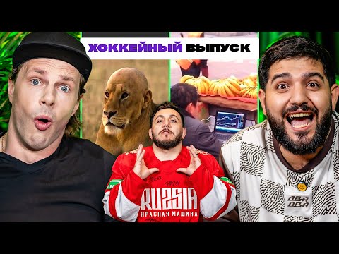 Видео: 3 ЛИТРА СМЕХА С САМЫМ СМЕШНЫМ ХОККЕИСТОМ х УШНЕВ х НАРЕК х ГЕВ