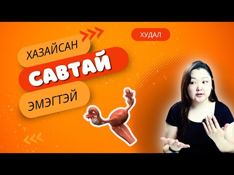 Видео: Миний умай хэвийн үү?