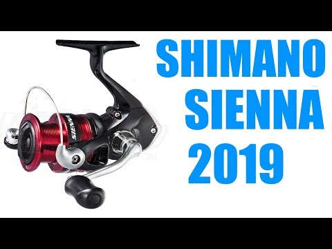 Видео: Shimano Sienna FG 2019 ОБЗОР