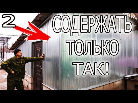 Видео: ПОМЕЩЕНИЕ!! ПОЧЕМУ ИМЕННО САРАЙ?