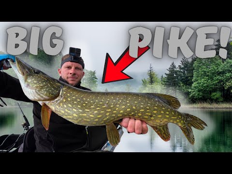 Видео: ЕДРИ ЩУКИ САМО НА БЛЕСНИ! | Най-мощното откриване на сезона”BIG PIKES on SPINNERS.