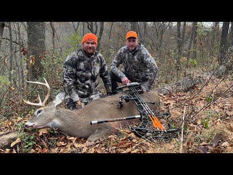 Видео: Охота на оленя с луком!!! В гостях у Александра Курашева!!! Охота без фантазии!!! Взлёты и падения!