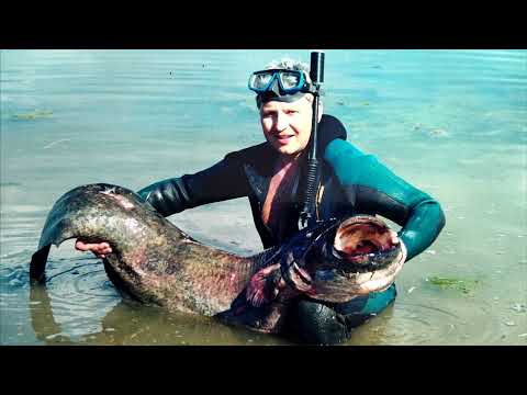 Видео: СЮИ 1974-1978 гр.14