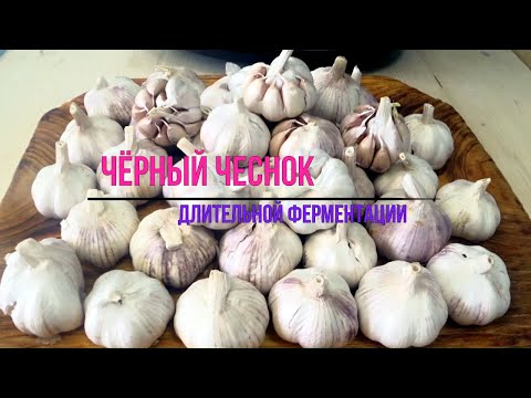 Видео: Черный чеснок (Black Garlic) / Чёрный чеснок как приготовить в домашних условиях / Паста из чеснока