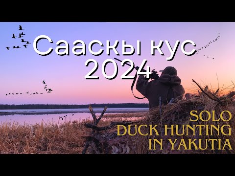 Видео: Сааскы кус Хаас I Умсаах Охота на гуся в Якутии