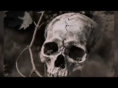 Видео: Гарри Топор - «Виноград» (2025, премьера)