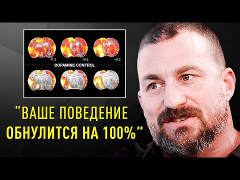 Видео: Если Чувствуешь Лень и Апатию, СЛУШАЙ ЭТО ВНИМАТЕЛЬНО! | Эндрю Хуберман