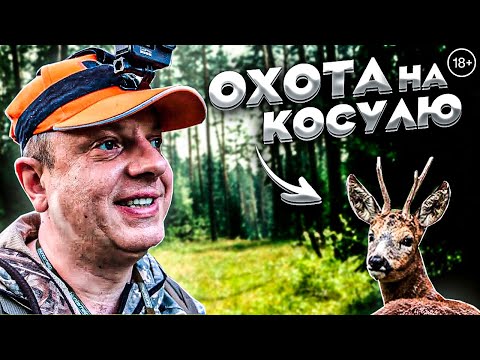 Видео: УДАЧНАЯ ОХОТА на КОСУЛЮ. Рёв или гон? Козел перехитрил собаку.