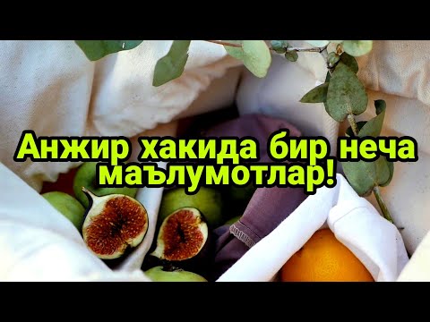 Видео: ЖАННАТ МЕВАСИНИНГ ШИФОБАХШ ХУСУСИЯТЛАРИ...