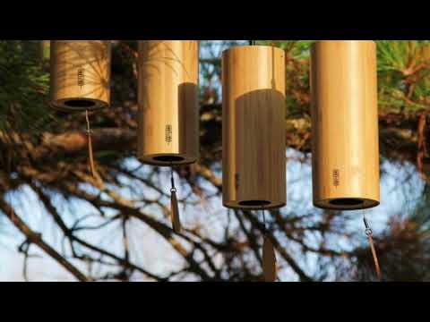 Видео: Медитативная музыка. Колокольчики коши, пение птиц на высоких частотах.