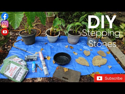 Видео: Камни для самостоятельной посадки капусты из листьев