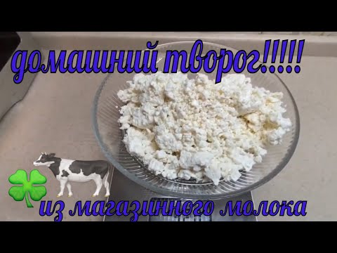 Видео: Самый вкусный Творог из магазинного молока 2,5%жирности. Сколько получится творога?