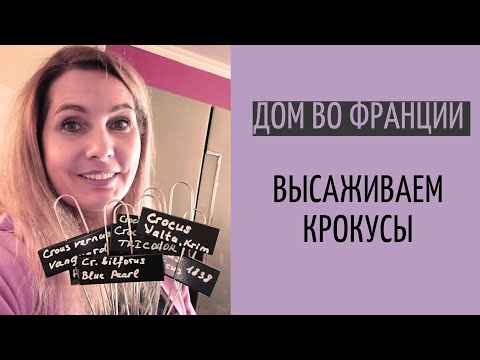 Видео: распаковка саженцев | высаживаем крокусы| почему не растёт топинамбур