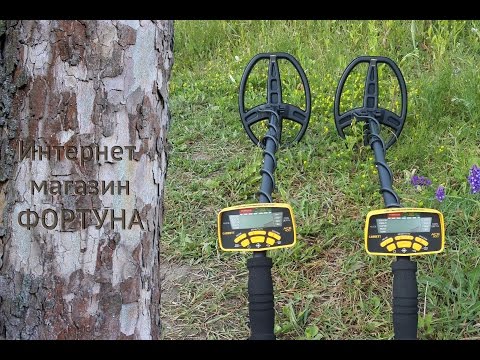 Видео: Сравнение Garrett ACE 400i и Garrett ACE 300i - глубина, скорость работы