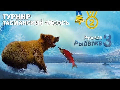 Видео: Турнир "Тасманский лосось" 2-е место — Русская рыбалка 3.9