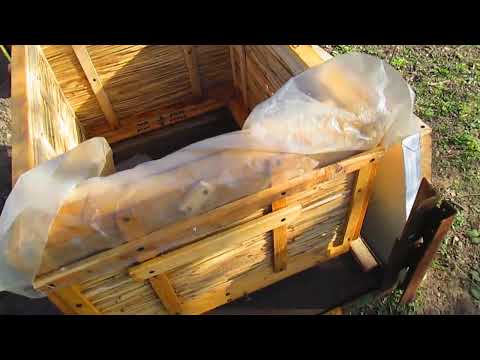 Видео: вулик з очерету