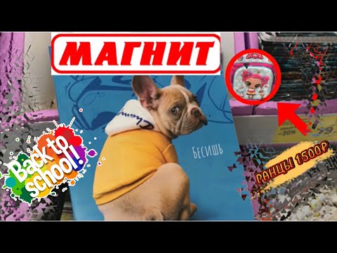 Видео: Всё для школы в МАГНИТ 🎒СКИДКИ НА КРАСИВЫЕ РАНЦЫ ЗДЕСЬ 👉🏼