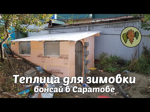Видео: Теплица для зимовки бонсай в Саратове @Studio.Bonsai