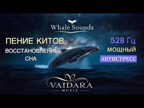 Видео: Пение Китов + 528 Гц | Музыка Для Сна, Медитации и Глубинной Релаксации