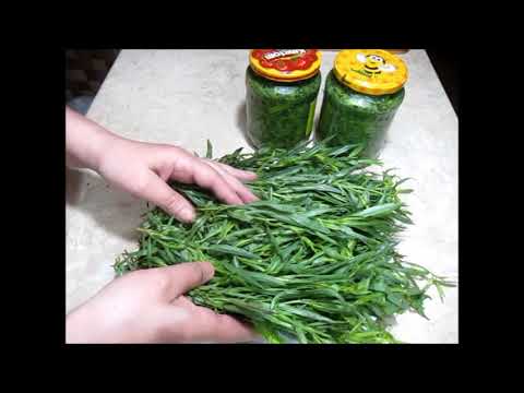 Видео: Заготовка тархуна на зиму. Harvesting tarragon for the winter. ზამთრისთვის ტარხუნის კონსერვაცია.