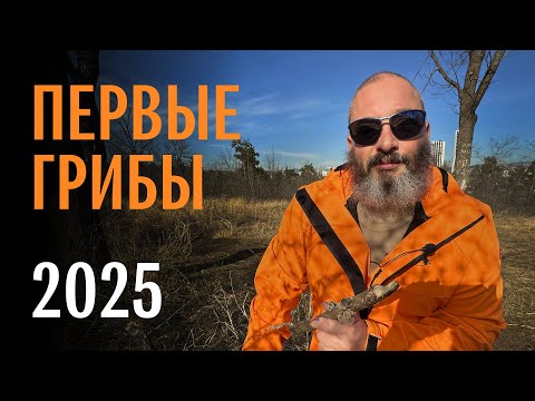 Видео: Гниль белая и бурая, траметес, щелелистник. Михаил Вишневский