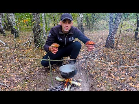 Видео: Поход по грибы.Шашлык рулет из грибов