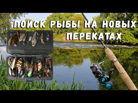 Видео: Поиск рыбы на новых перекатах