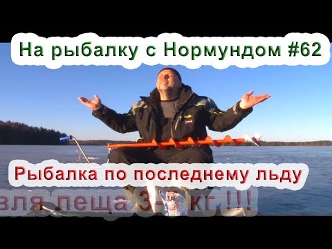 Видео: Рыбалка на леща 3-5кг :) Последний лёд. На рыбалку с Нормундом #62