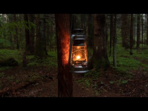 Видео: Поход 24 ЧАСА |  УШЛИ С ЖЕНОЙ В ЛЕС |  ВКУСНЫЙ УЖИН НА КОСТРЕ | Ночёвка в палатке