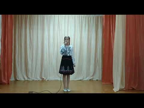 Видео: МБОУ «Добровская школа-гимназия имени Я.М.Слонимского» Каспер Стелла «Лизавета»