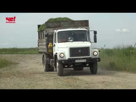 Видео: Кормозаготовка