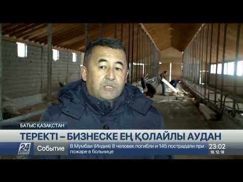 Видео: БҚО-дағы Теректі ауданында 24 млрд теңгенің өнімі өндірілген