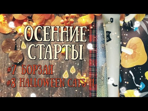 Видео: 57. Осенние старты: #7 Борзая и #8 Halloween Cats II