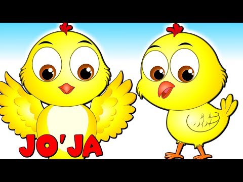 Видео: Joja Жужаларим Узбекча | Bolalar qo'shiqlari / Болалар учун кушиклар | Small Chicks Rhyme in Uzbek