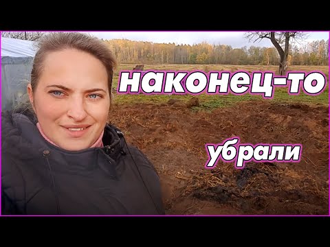 Видео: Давно хотели это сделать, но не хватало сил и времени