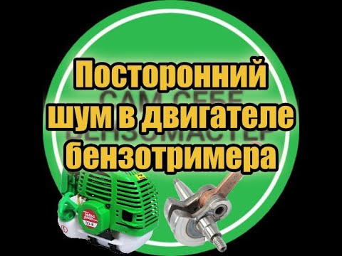 Видео: Посторонний шум в двигателе бензотримера.