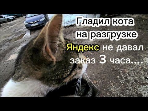 Видео: Яндекс грузовой кузов S в Санкт-Петербурге #yandex #яндексгрузовой #Грузовыебудни #4