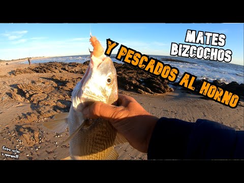 Видео: Мате, пирожные и запеченная рыба 🔥 // Канелонес, Уругвай // @entrecanasyaparejos2396