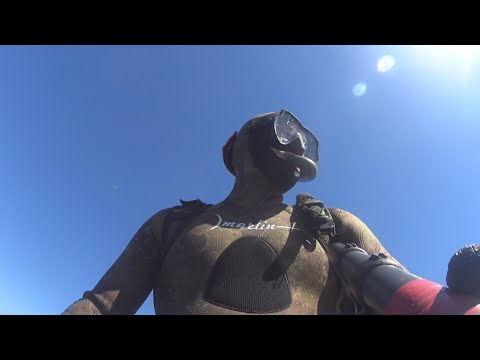 Видео: Подводная охота летом  в траве