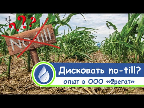 Видео: Дискование или ноутил?