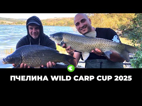 Видео: Емоции и трофеен улов от състезанието ПЧЕЛИНА WILD CARP CUP 2025